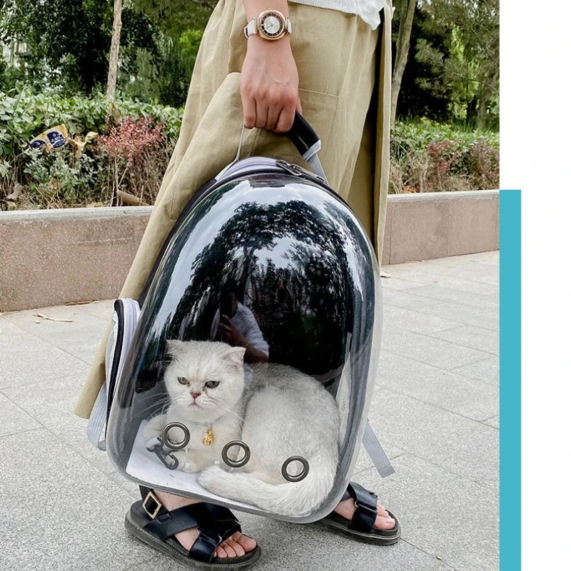 sac_transport_chat_blanc paisible