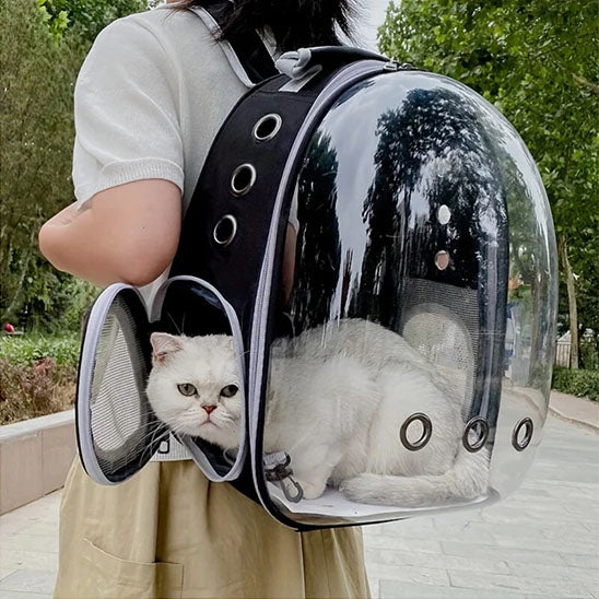 sac_transport_chat_blanc regarde a l'arriere