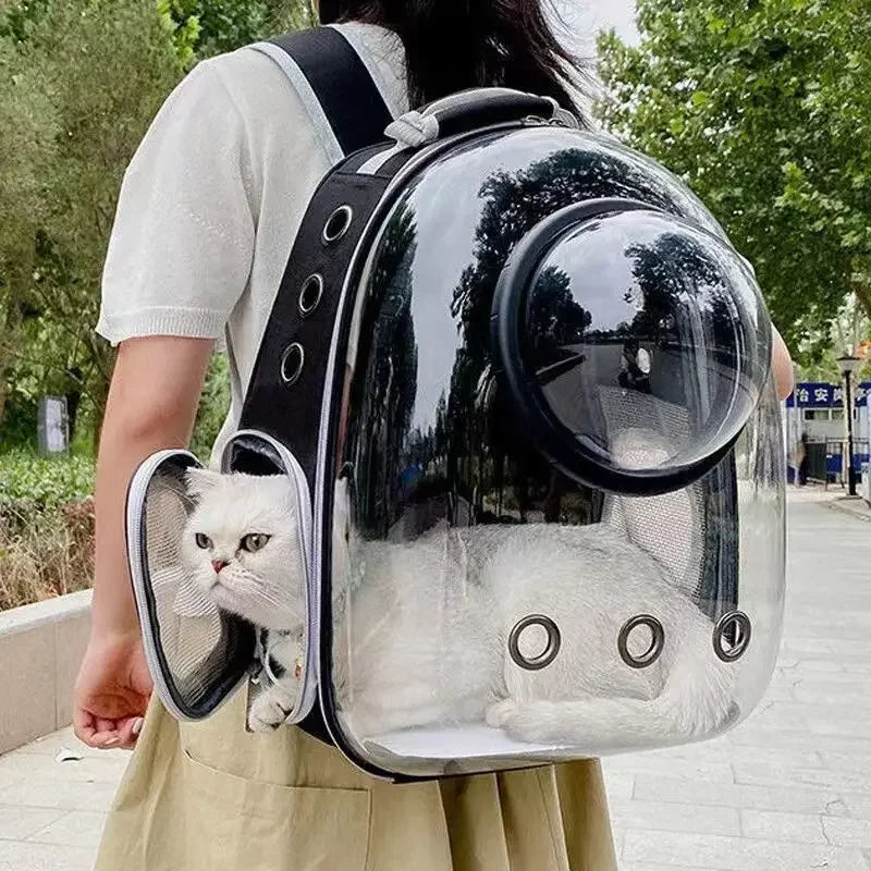 sac_transport_chat_blanc_tete dehors