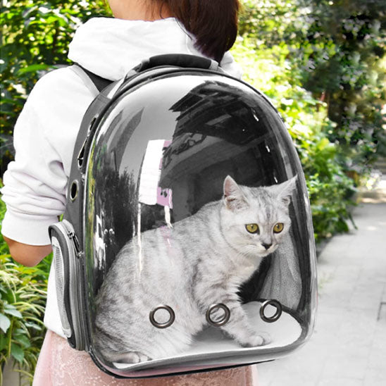 sac_transport_chat_gris