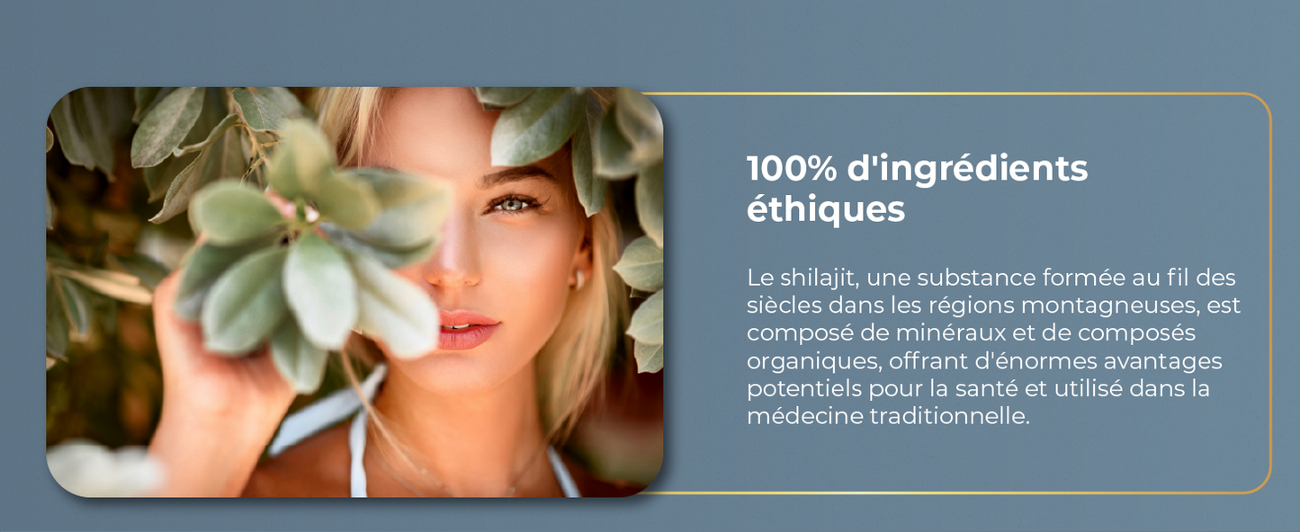 Résine Shilajit Pure de l'Himalaya | La Santé au Quotidien - CAP OCEAN BIEN-ETRE