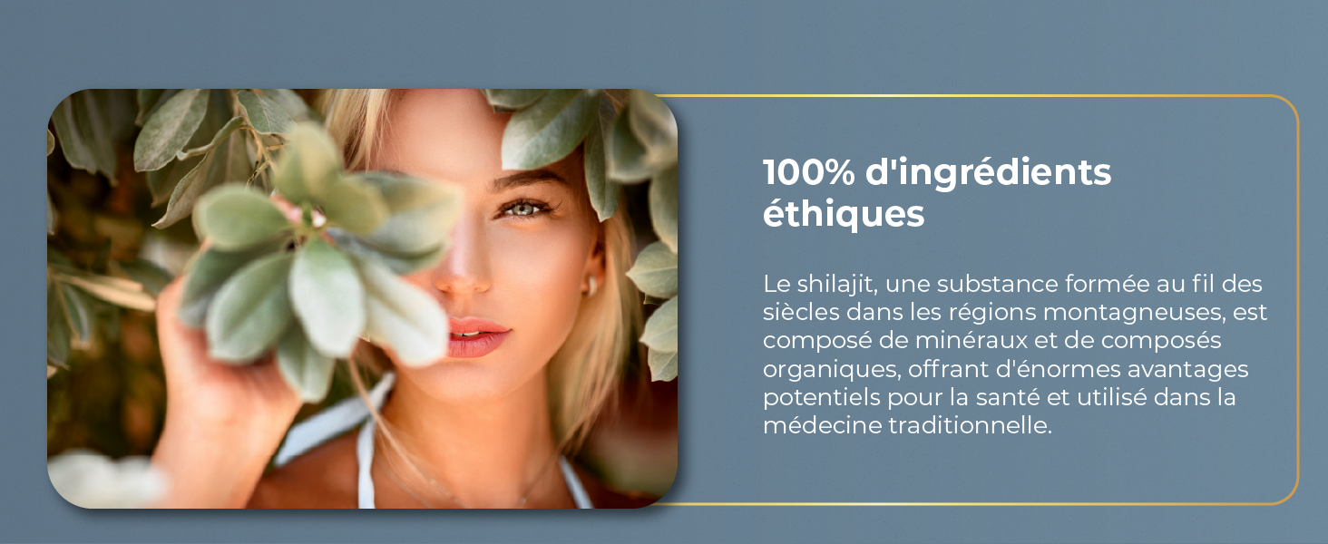 Résine Shilajit Pure de l'Himalaya | La Santé au Quotidien - CAP OCEAN BIEN-ETRE